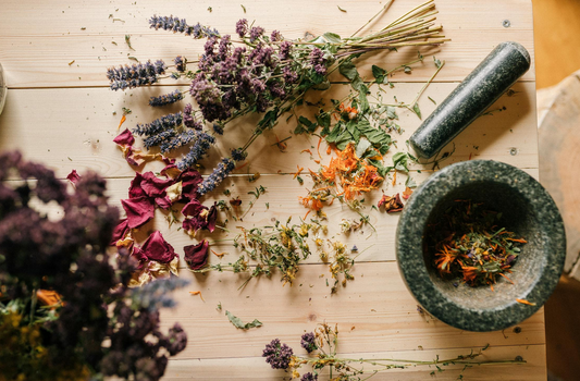 Les tisanes : un voyage dans l’histoire et les bienfaits de ces infusions naturelles